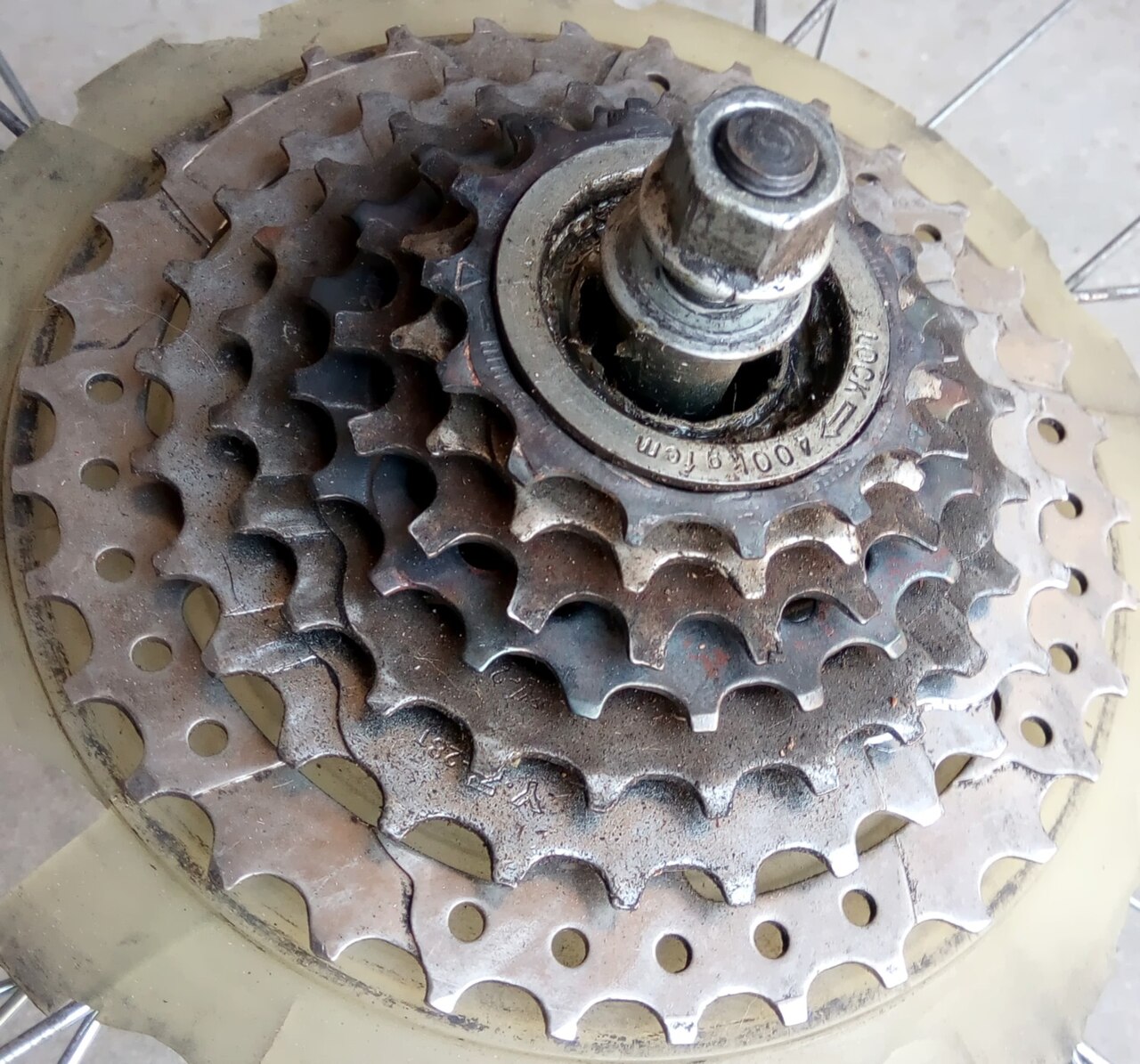 A bicycle freewheel: the rear sprocket ratchet that allows coasting.